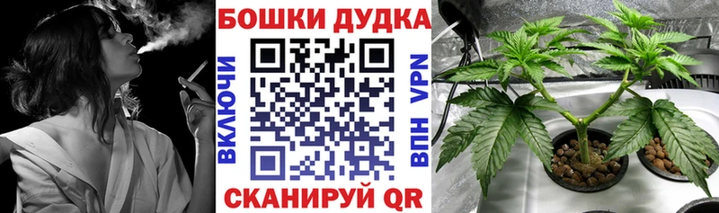 OMG сайт Облучье Марихуана White Widow как найти наркотики